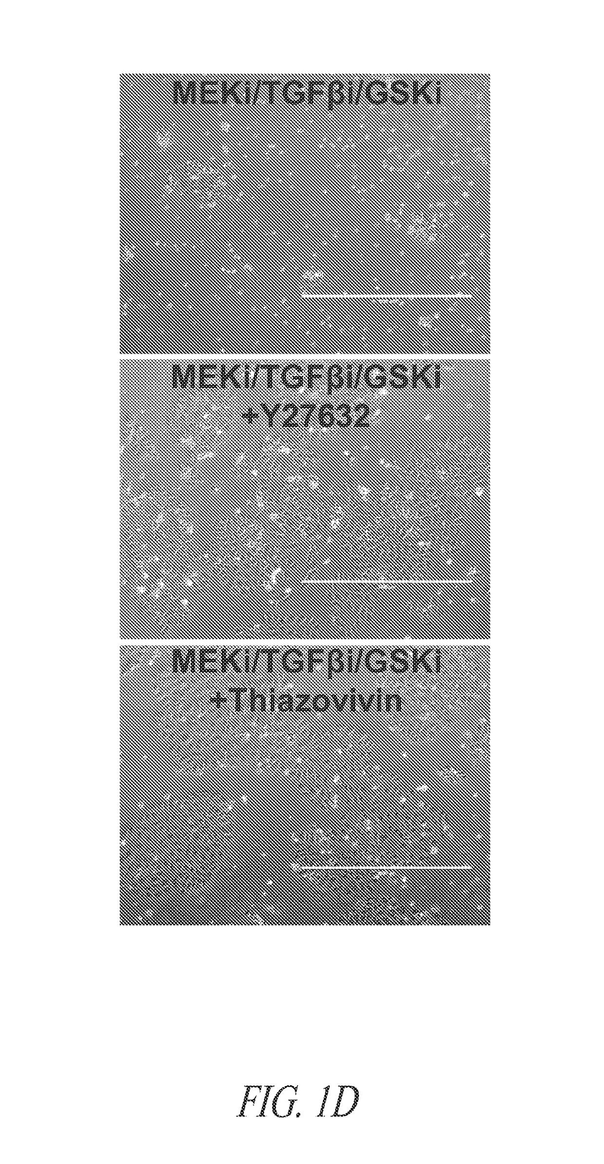 Cell culture platform for single cell sorting and enhanced reprogramming of iPSCs