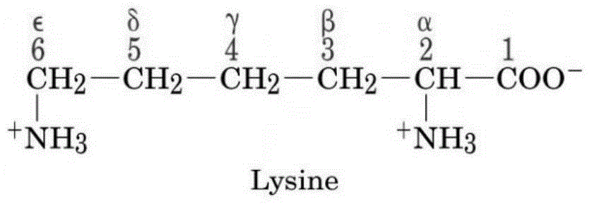 Bovine foot and mouth disease A-type polypeptide vaccine