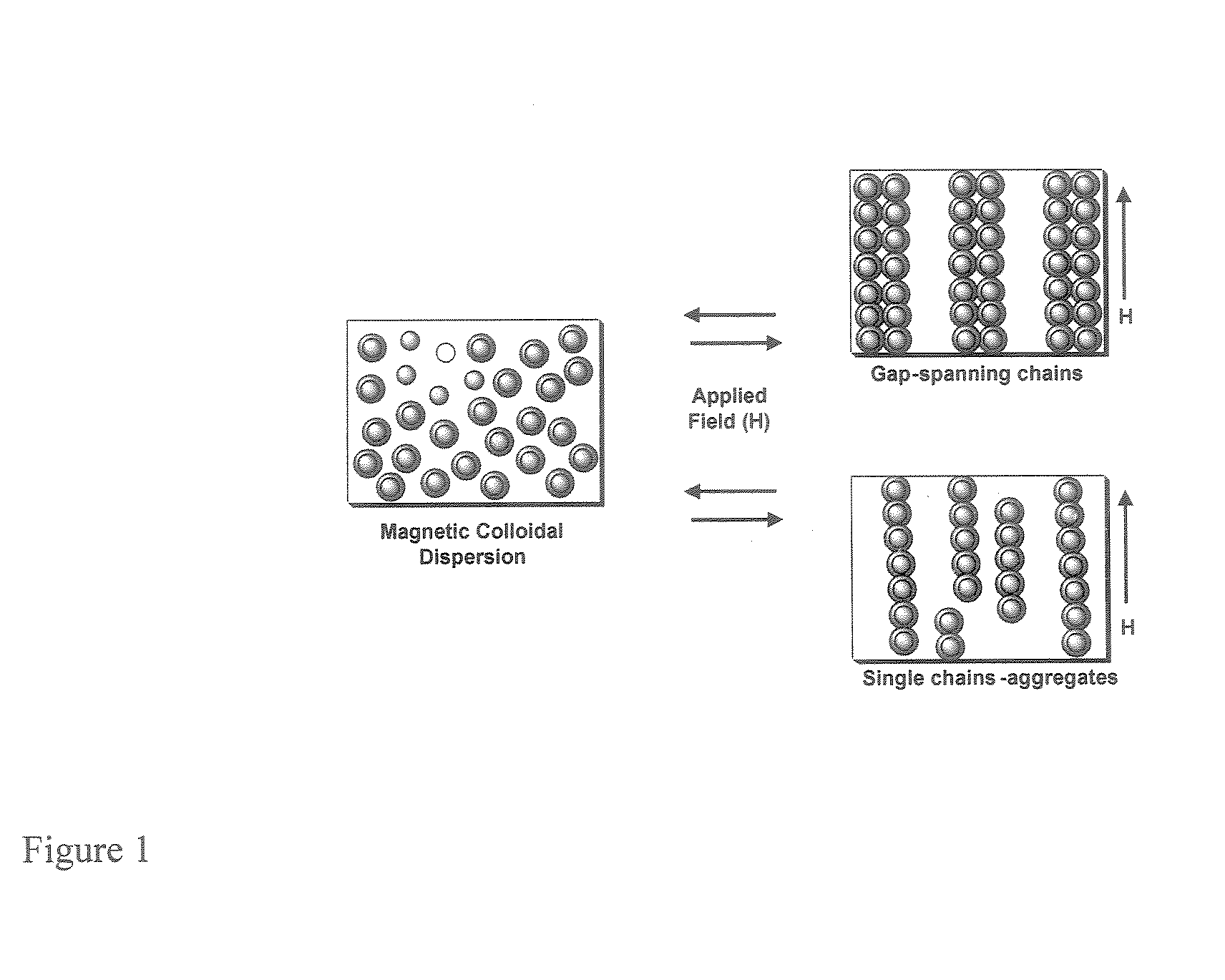 Multifunctional polymer coated magnetic nanocomposite materials