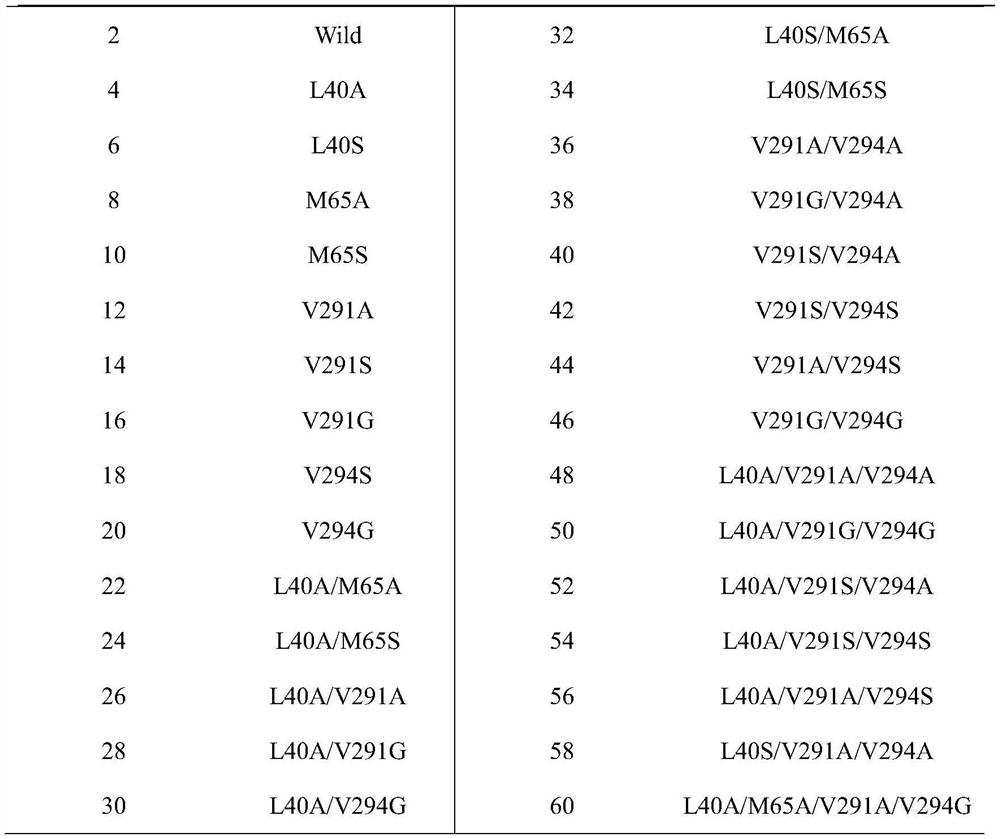 Amino acid dehydrogenase mutant and application thereof