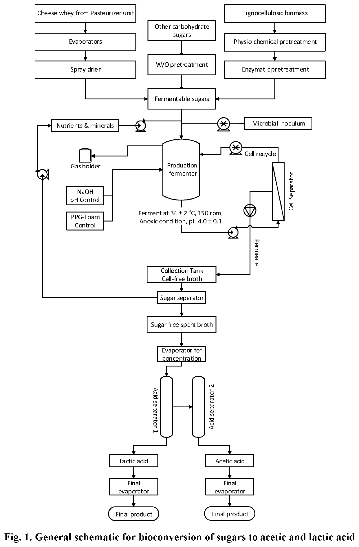 Low pH process for fermentation of sugars from carbohydrates for the production of organic acids and biodegradable deicers