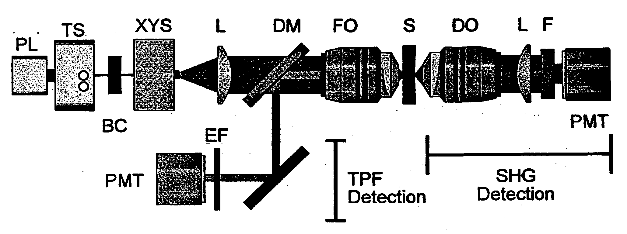 Nonlinear optical detection of fast cellular electrical activity