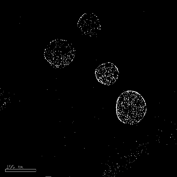 Ethosome gel film-coating agent with multiple wound repair effects and preparation method of ethosome gel film-coating agent