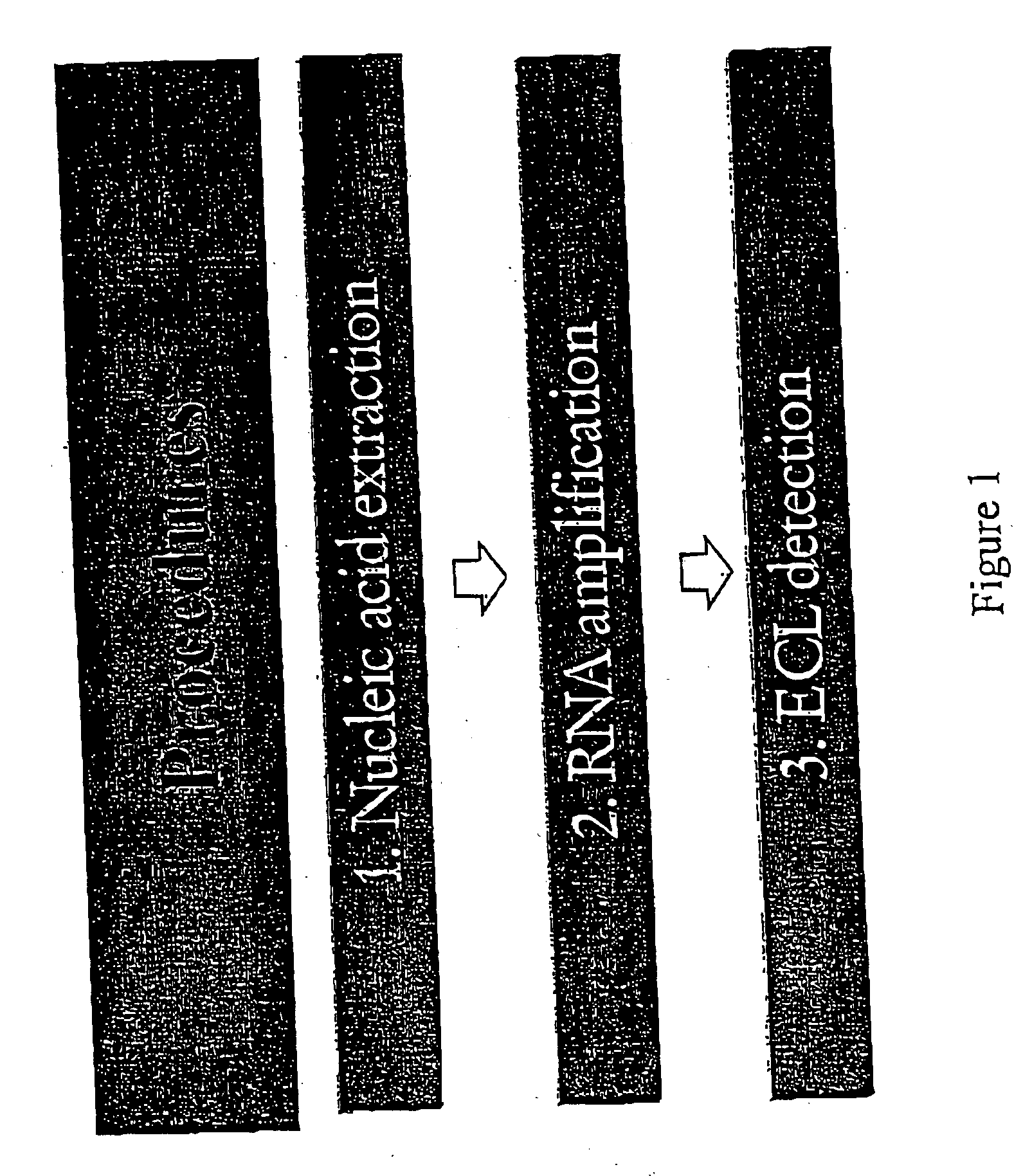 Kit for detecting non-pathogenic or pathogenic influenza a subtype h5 virus