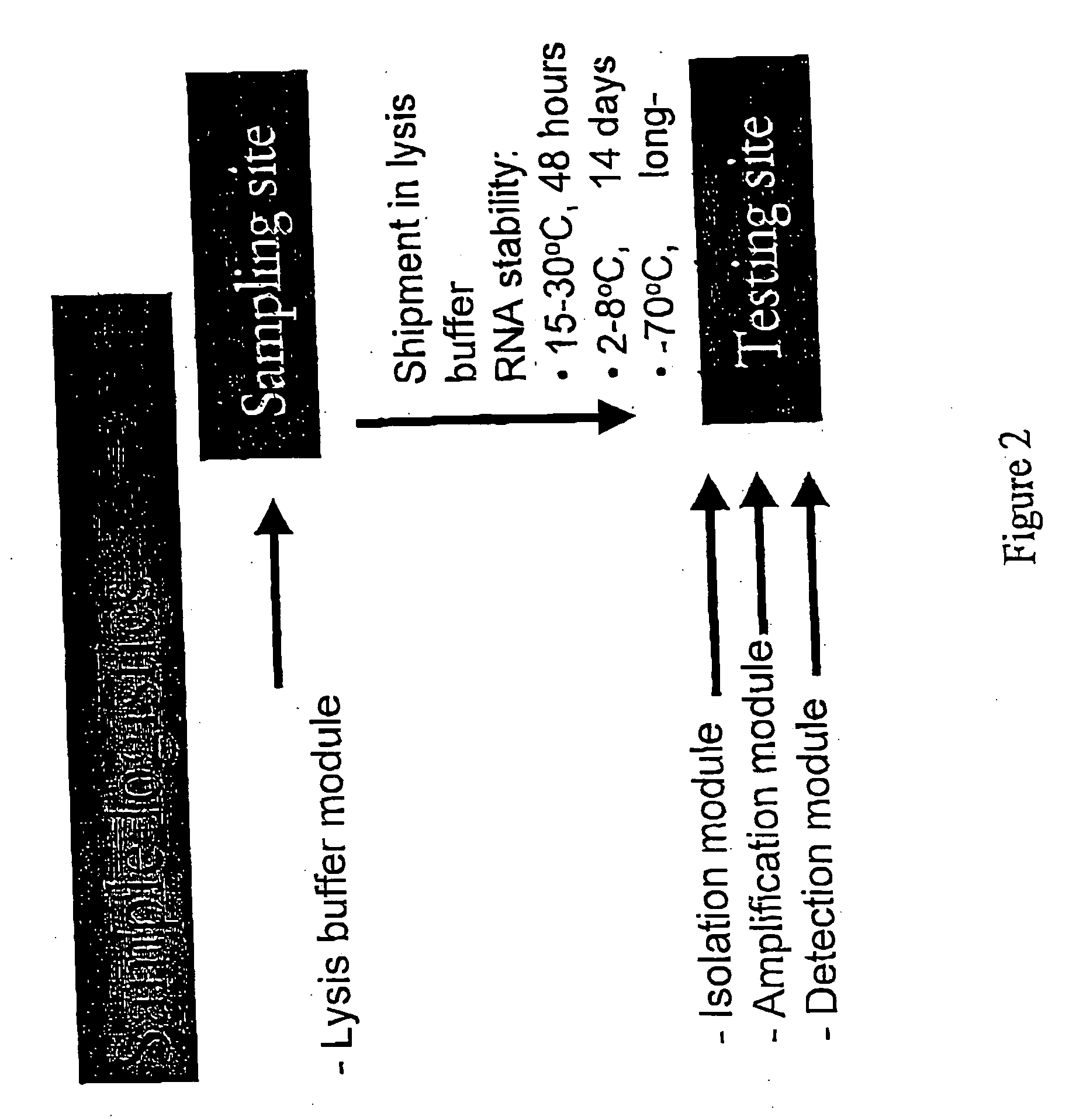 Kit for detecting non-pathogenic or pathogenic influenza a subtype h5 virus