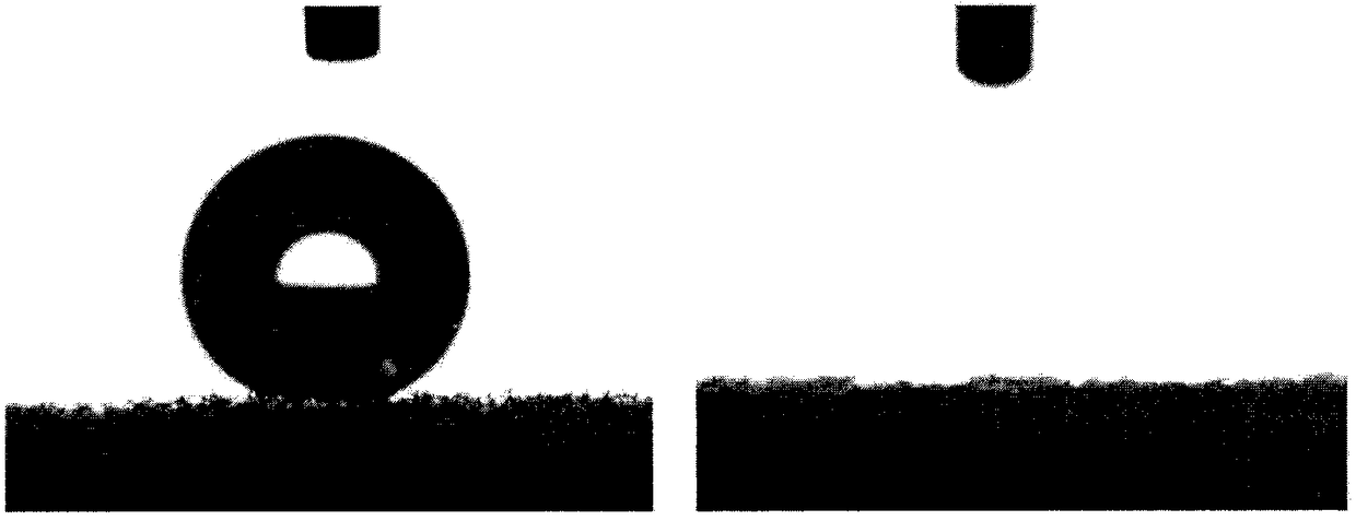 Rapid preparation method of superhydrophobic three-dimensional sponge and application thereof to oil-water separation