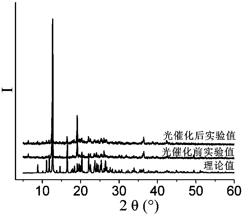 Semi-rigid double-imidazole organic-ligand-based transition metal compound containing N-S dicarboxylic acid, as well as synthetic method and application thereof