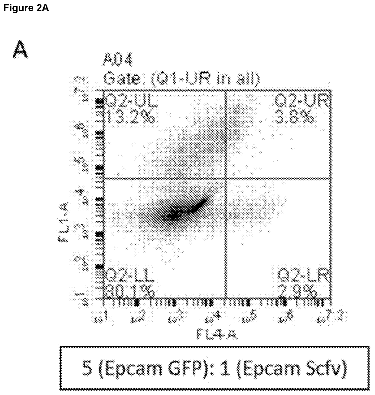 Method of Selecting for Antibodies