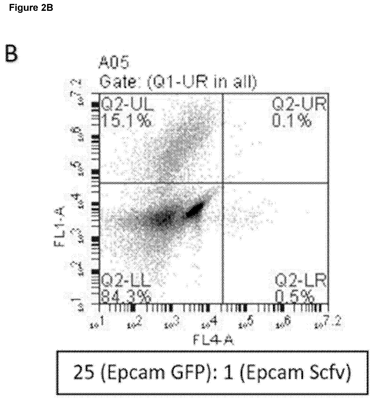 Method of Selecting for Antibodies