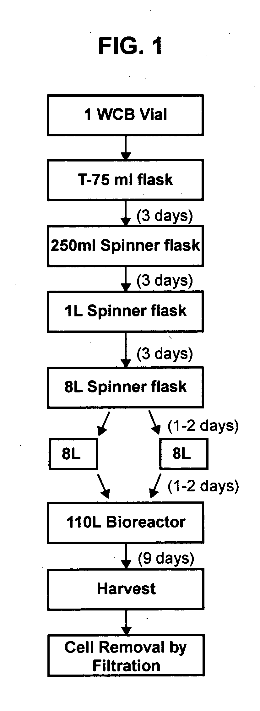 Enzymes useful for treating and methods for treating MPS-VI and cells lines for producing such enzymes recombinantly