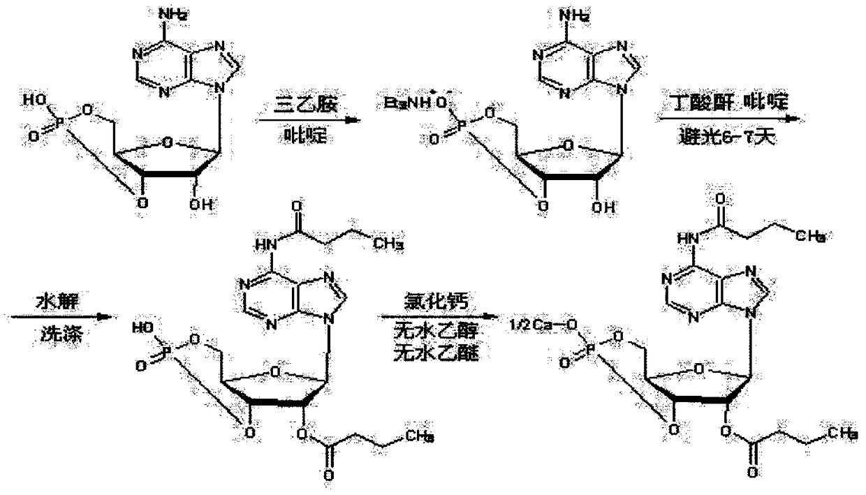 A kind of preparation method of calcium dibutyryl cyclic adenosine phosphate