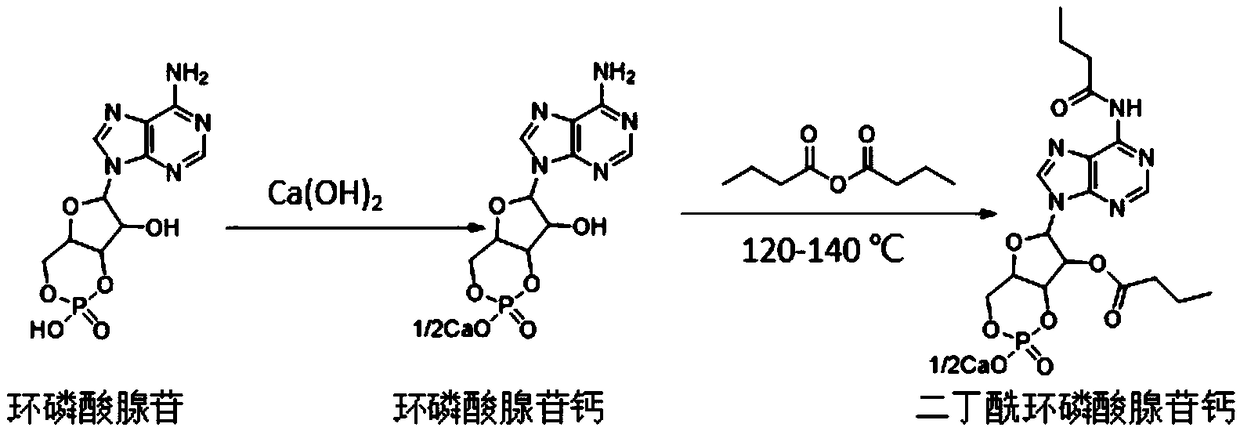 A kind of preparation method of calcium dibutyryl cyclic adenosine phosphate