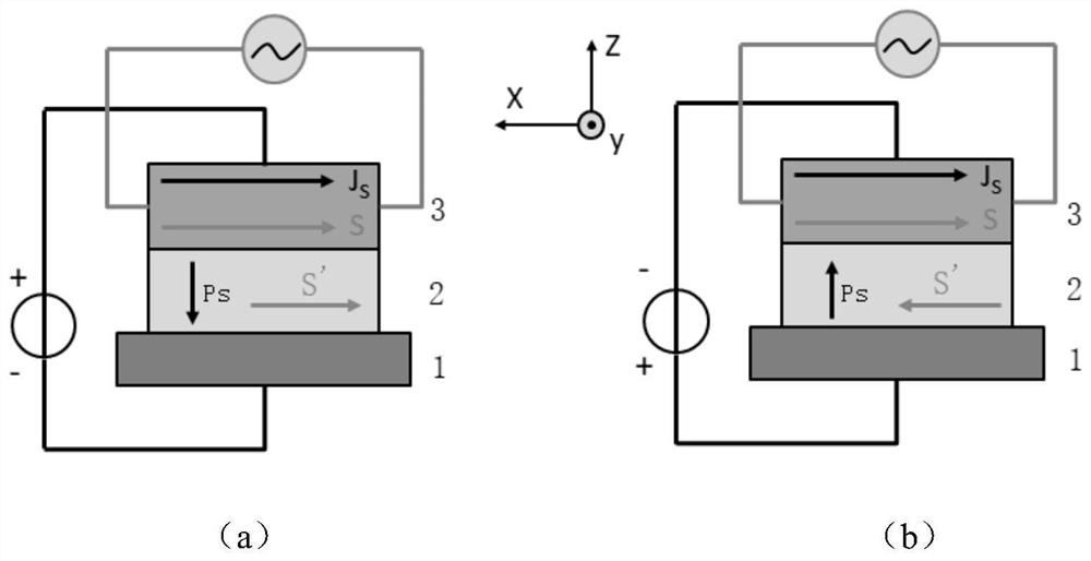 Memory based on spin texture, and preparation method thereof