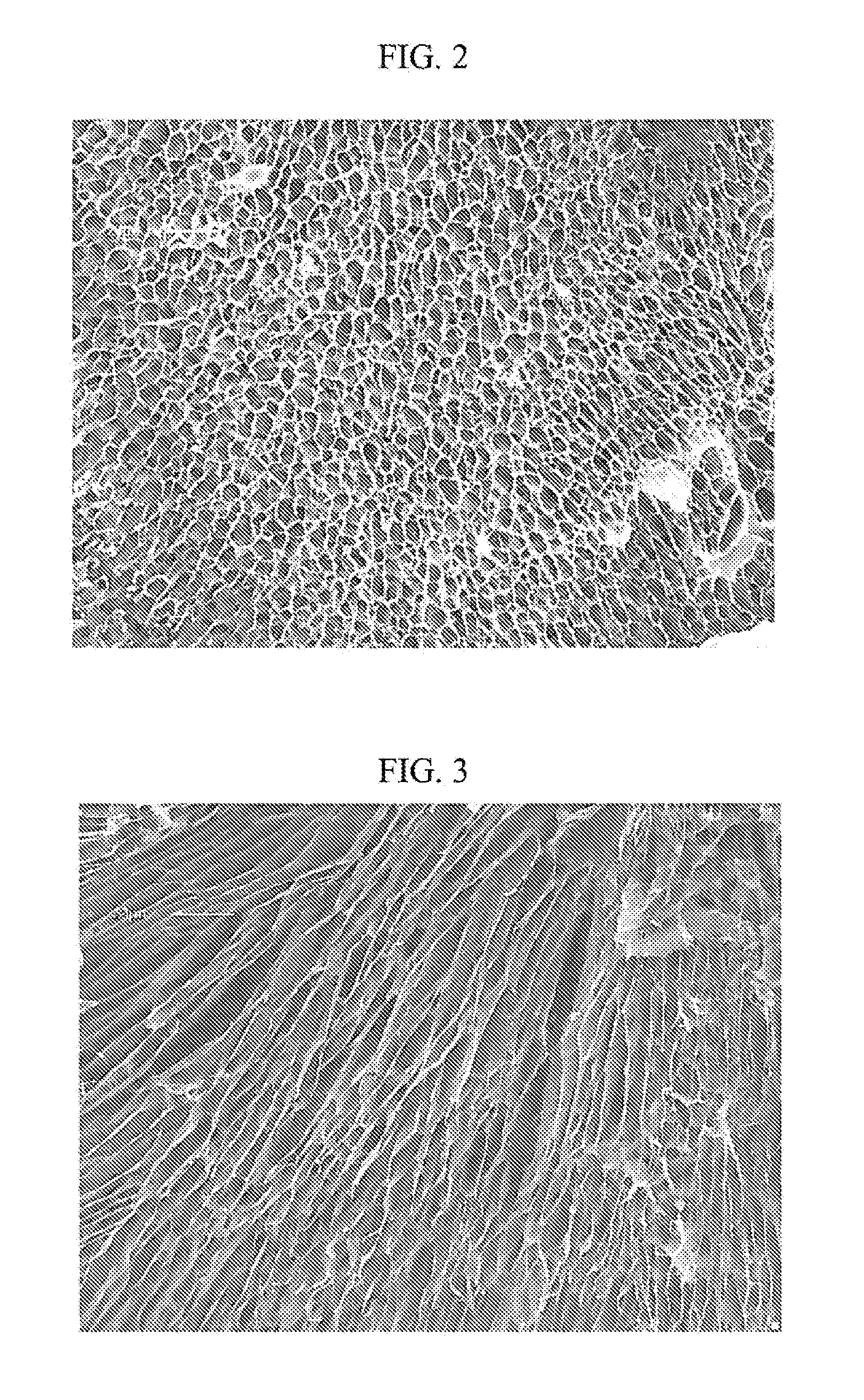 Hydrocolloids and Process Therefor