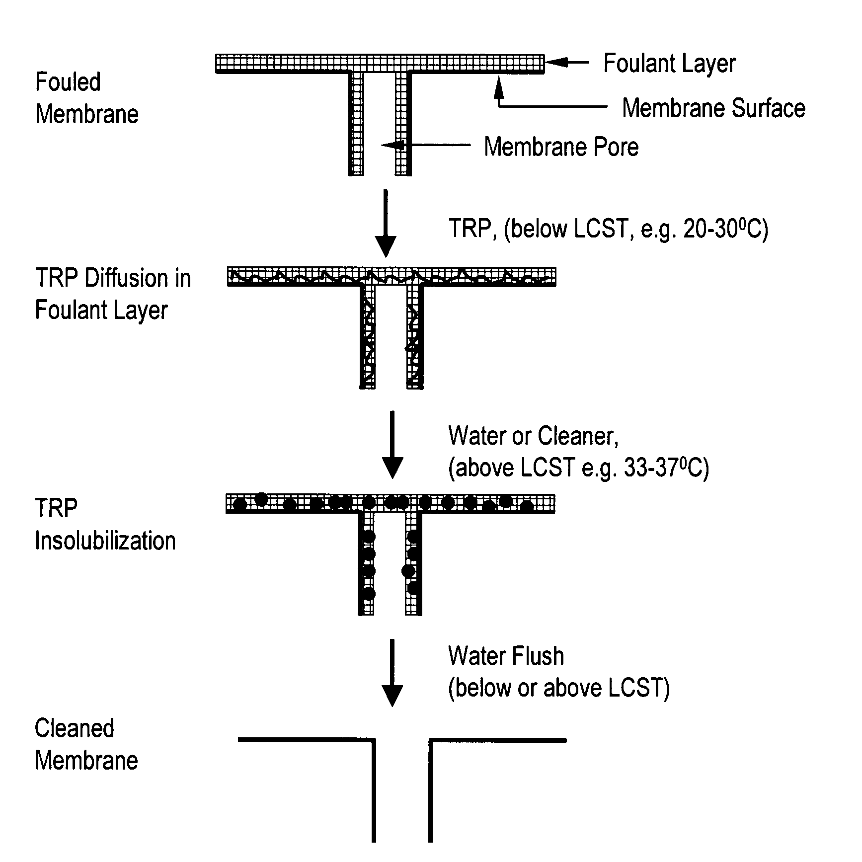 Method of cleaning fouled and/or scaled membranes