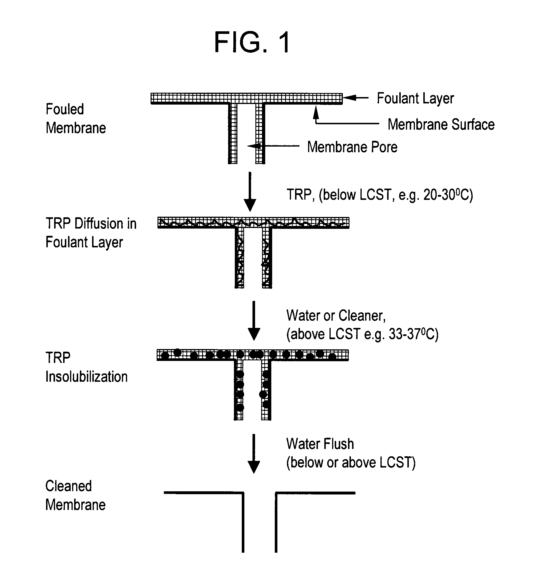 Method of cleaning fouled and/or scaled membranes