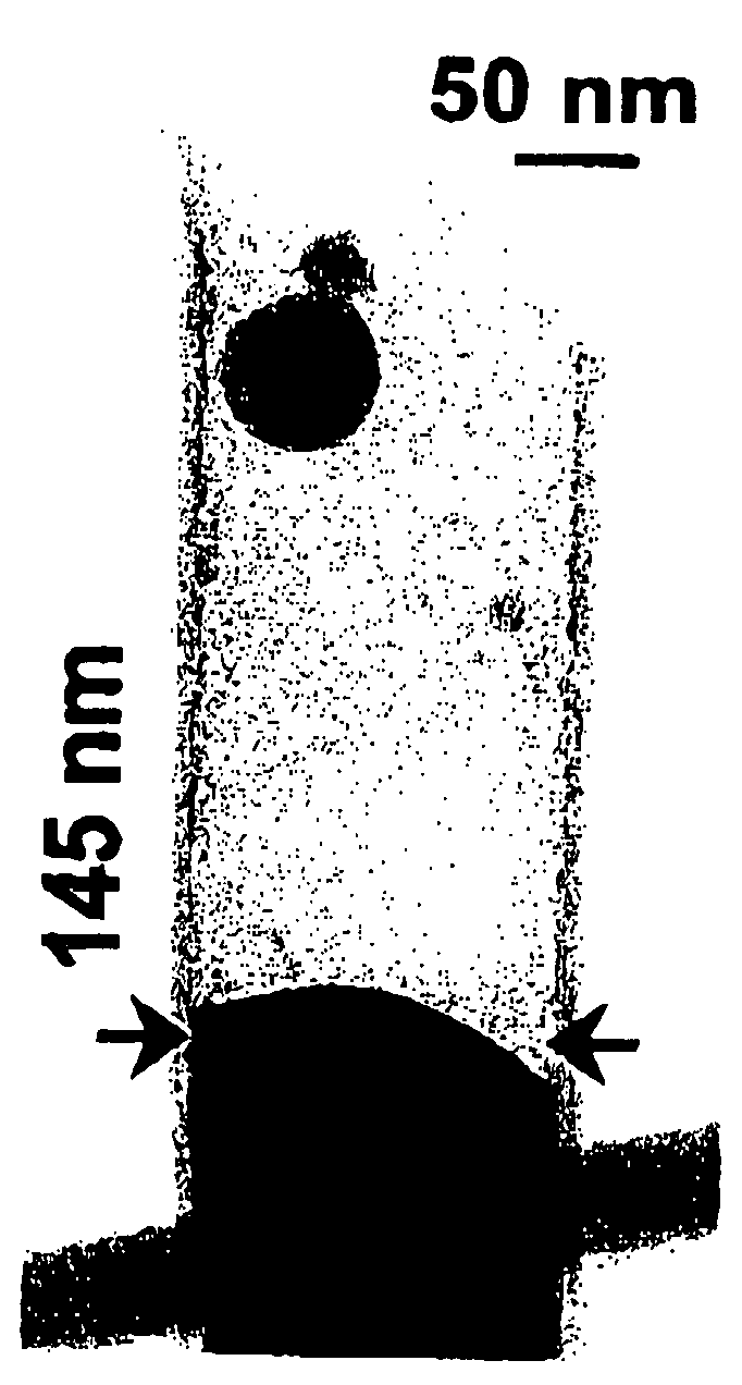 Temperature measuring method using micro temperature sensing element