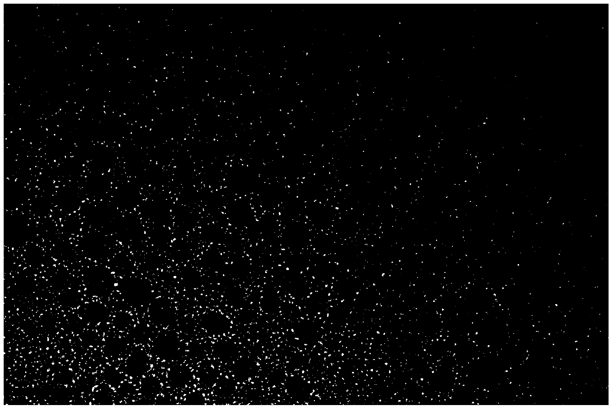 Application of a yb3+-based fluoride nanocrystal in the preparation of photodynamic therapy drugs