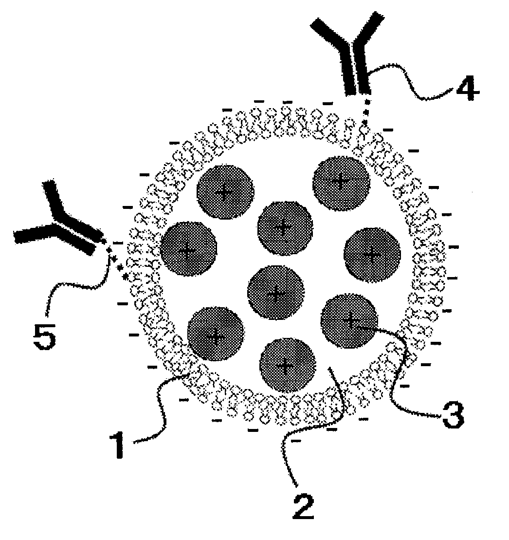 Liposome composition, its production process, and method for analyzing analyte using the same