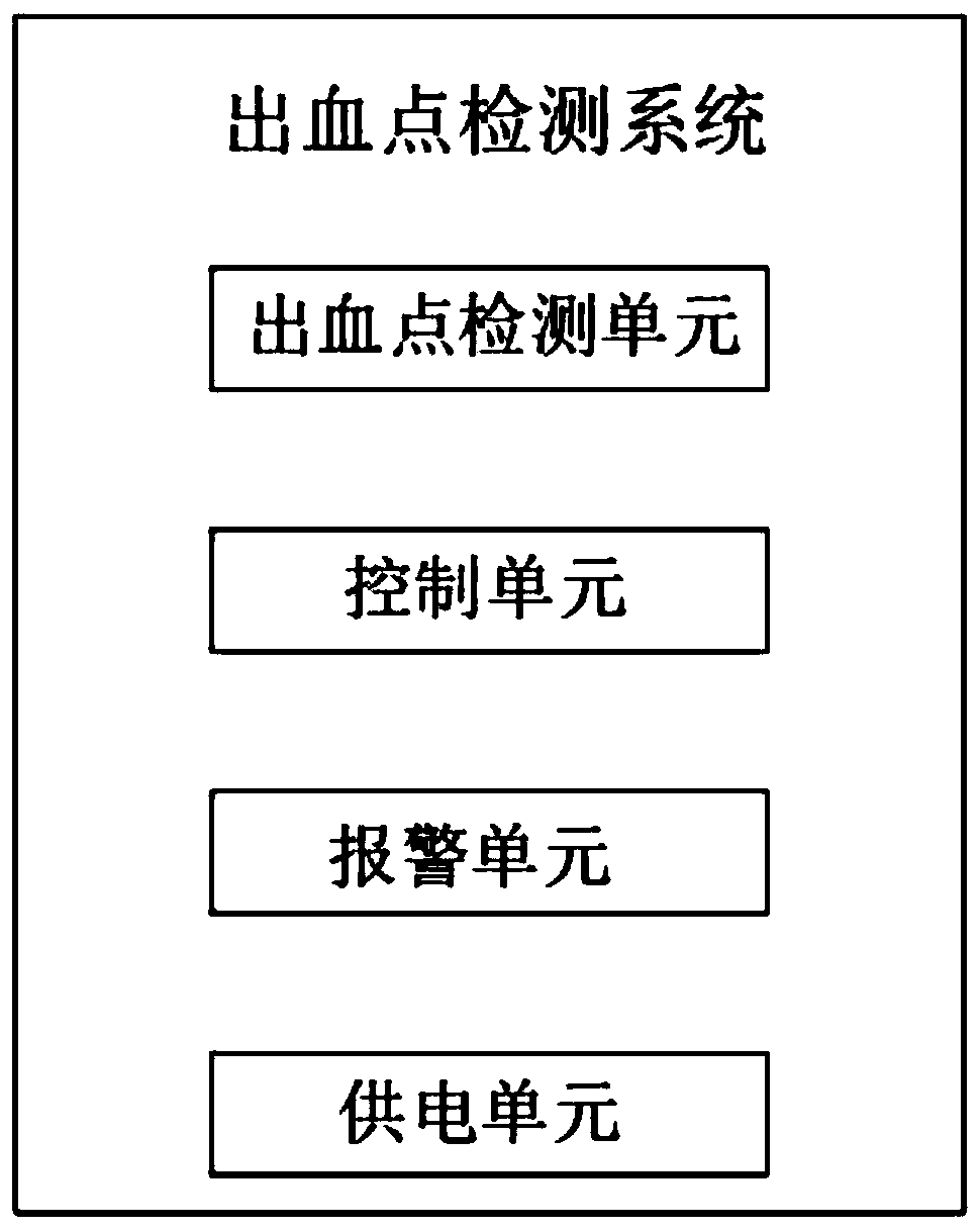 Bleeding point detection system