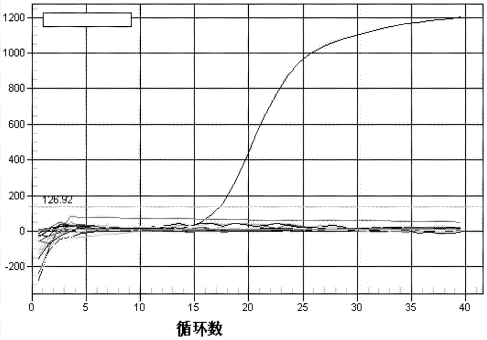 A kit for detecting roe deer-derived components in food and its application