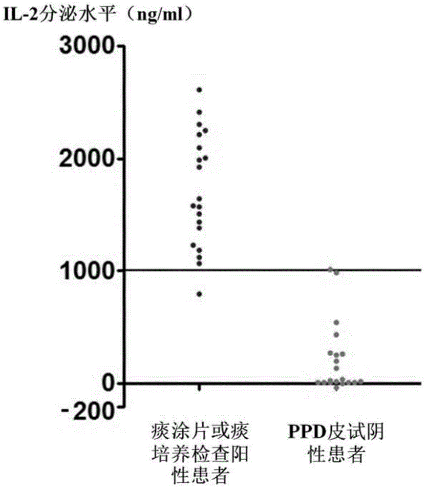 Mixed polypeptide for producing tuberculosis associated cell factors by inducing peripheral blood mononuclear cell