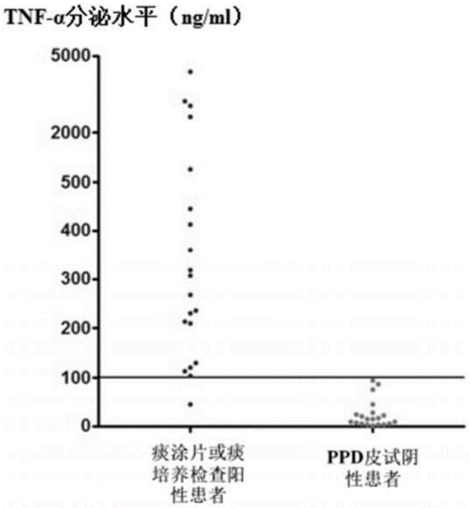 Mixed polypeptide for producing tuberculosis associated cell factors by inducing peripheral blood mononuclear cell