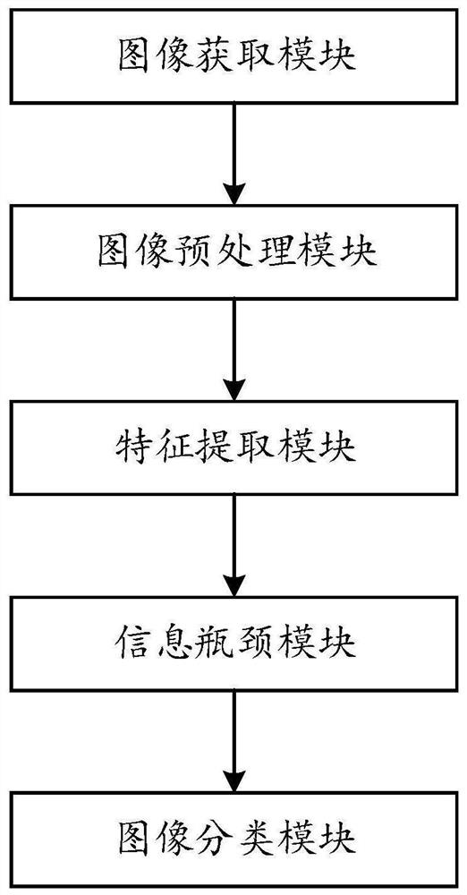 Intelligent mammary gland contrast enhancement photography classification system based on information bottleneck