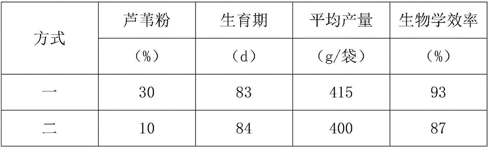 Method for preparing needle mushroom cultivation material by using reed powder