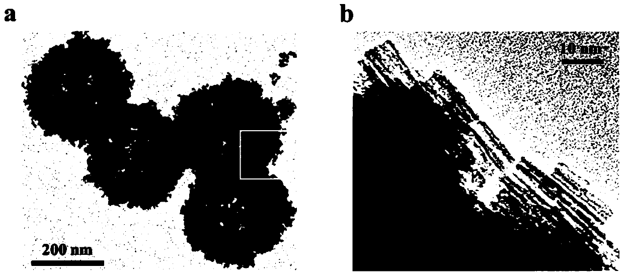 Hollow mesoporous defect type tungsten trioxide nanospheres as well as preparation method and application thereof