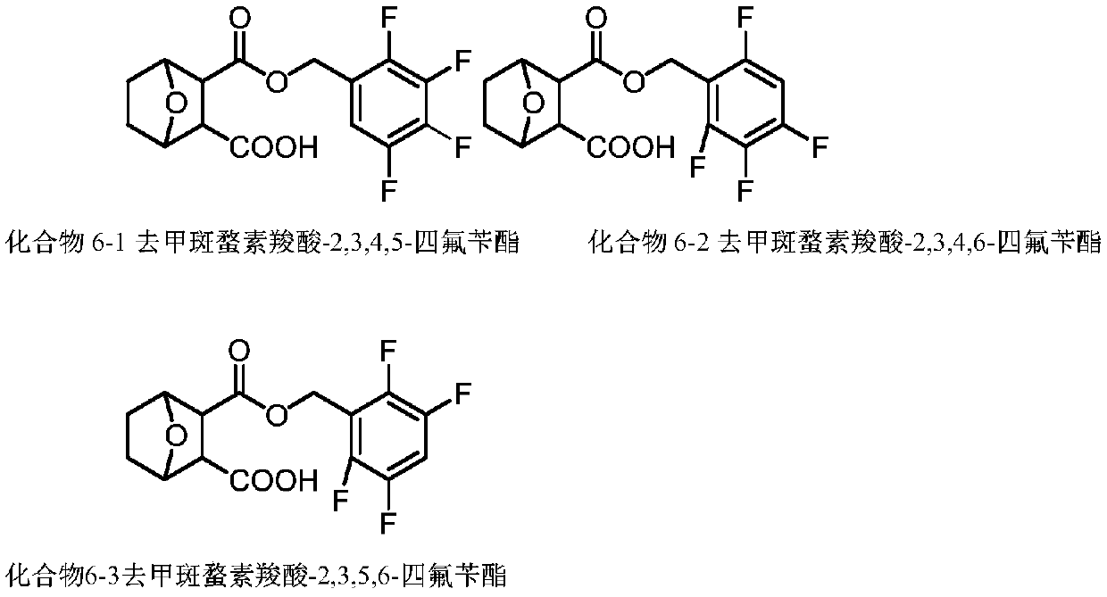 Tetrafluorobenzyl norcantharidin carboxylate and synthesis method thereof