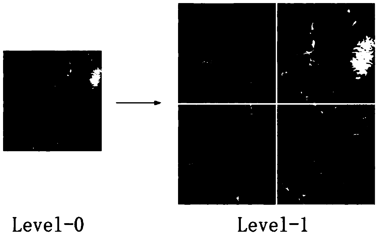 GPU-based large-scale terrain real-time drawing method