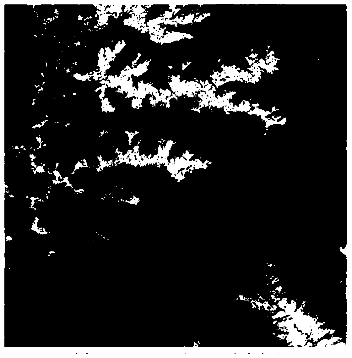 GPU-based large-scale terrain real-time drawing method