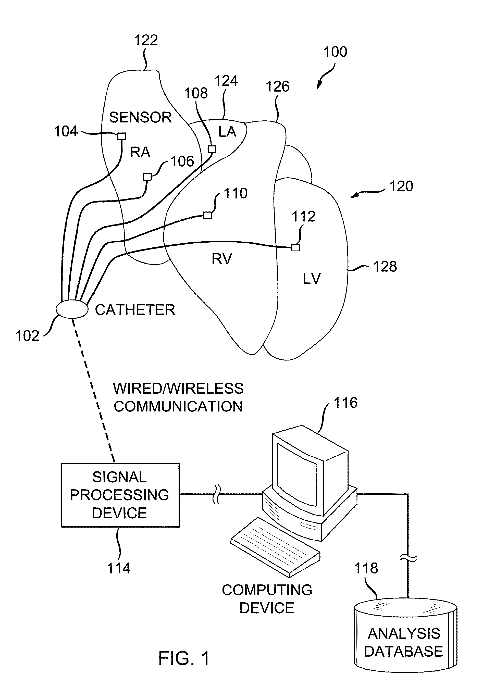 System and method of identifying sources for biological rhythms