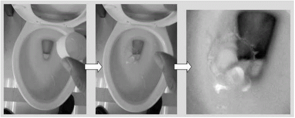 Composition capable of rapidly forming splash-proof buffering film on surface of water seal of closestool