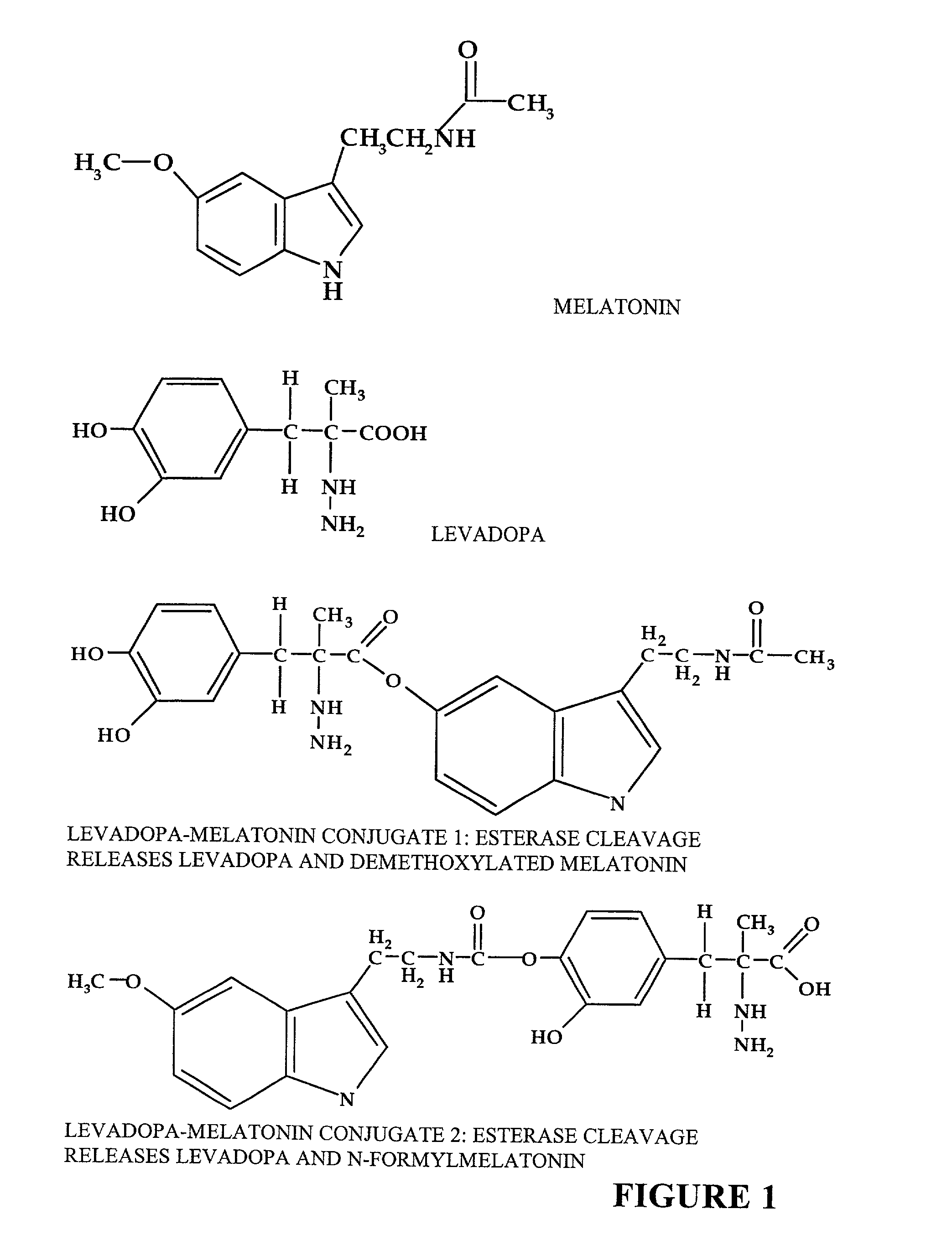 Covalent conjugates of biologically-active compounds with amino acids and amino acid derivatives for targeting to physiologically-protected sites