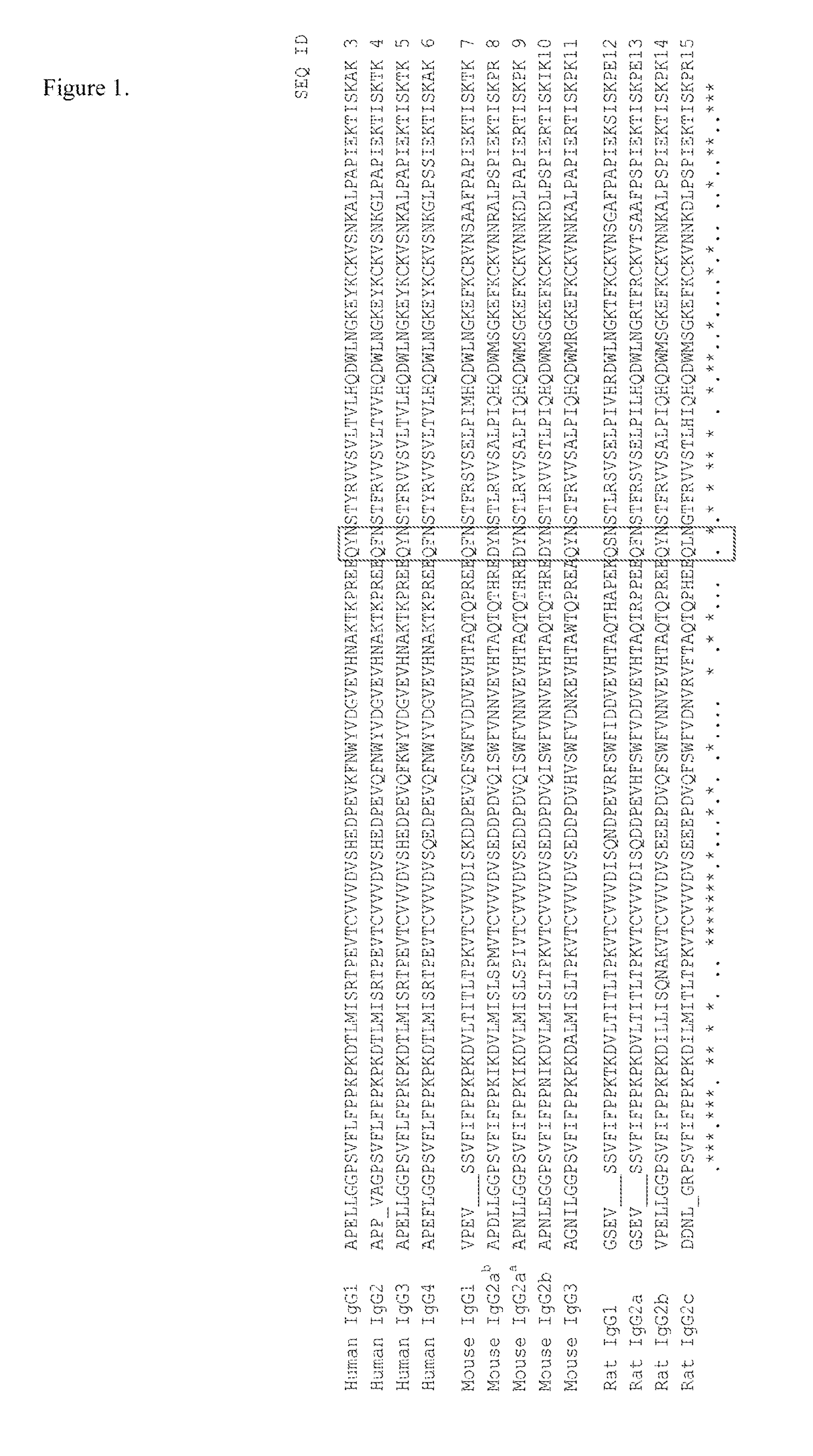 Homogenous antibody drug conjugates via enzymatic methods