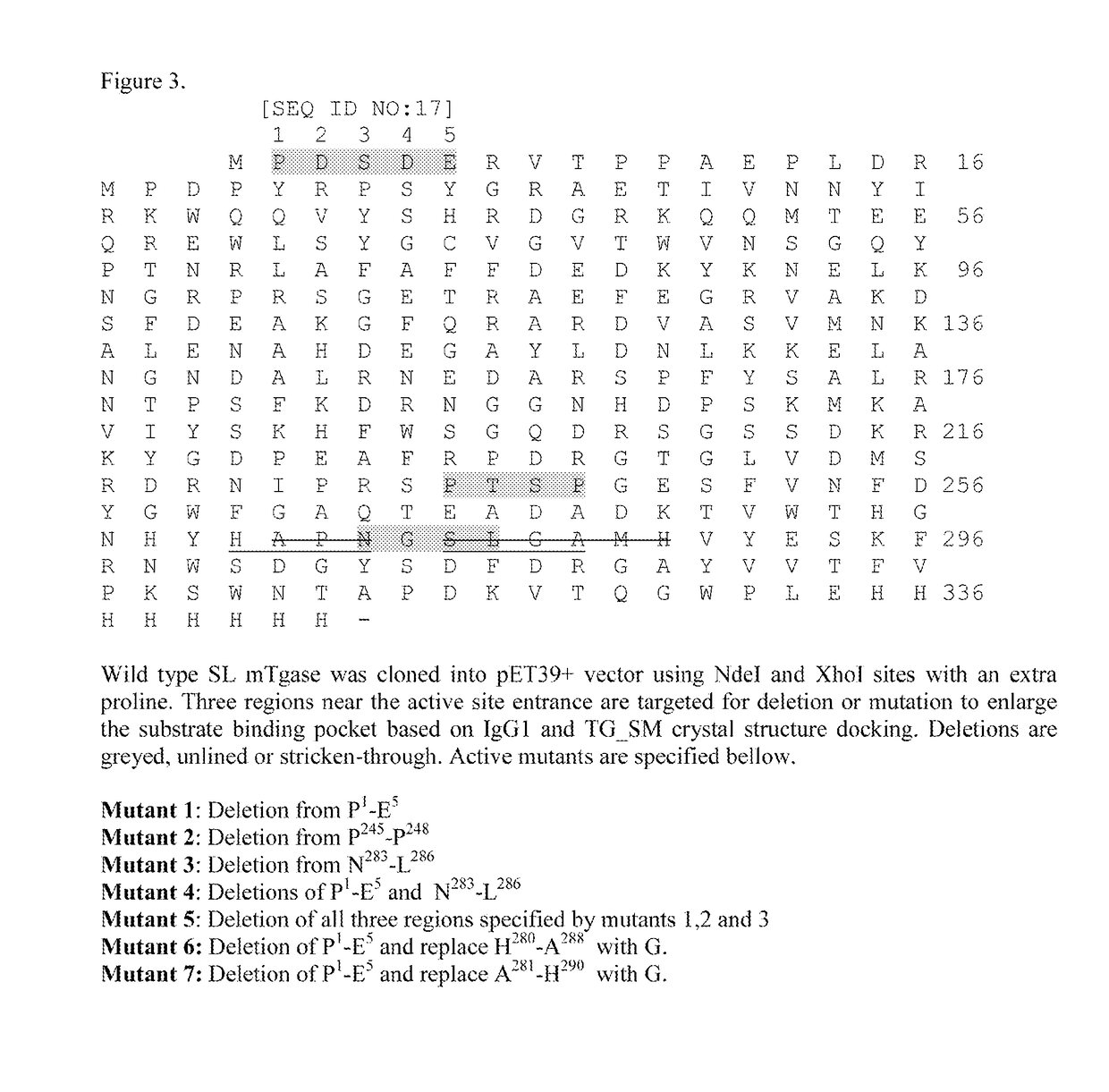 Homogenous antibody drug conjugates via enzymatic methods