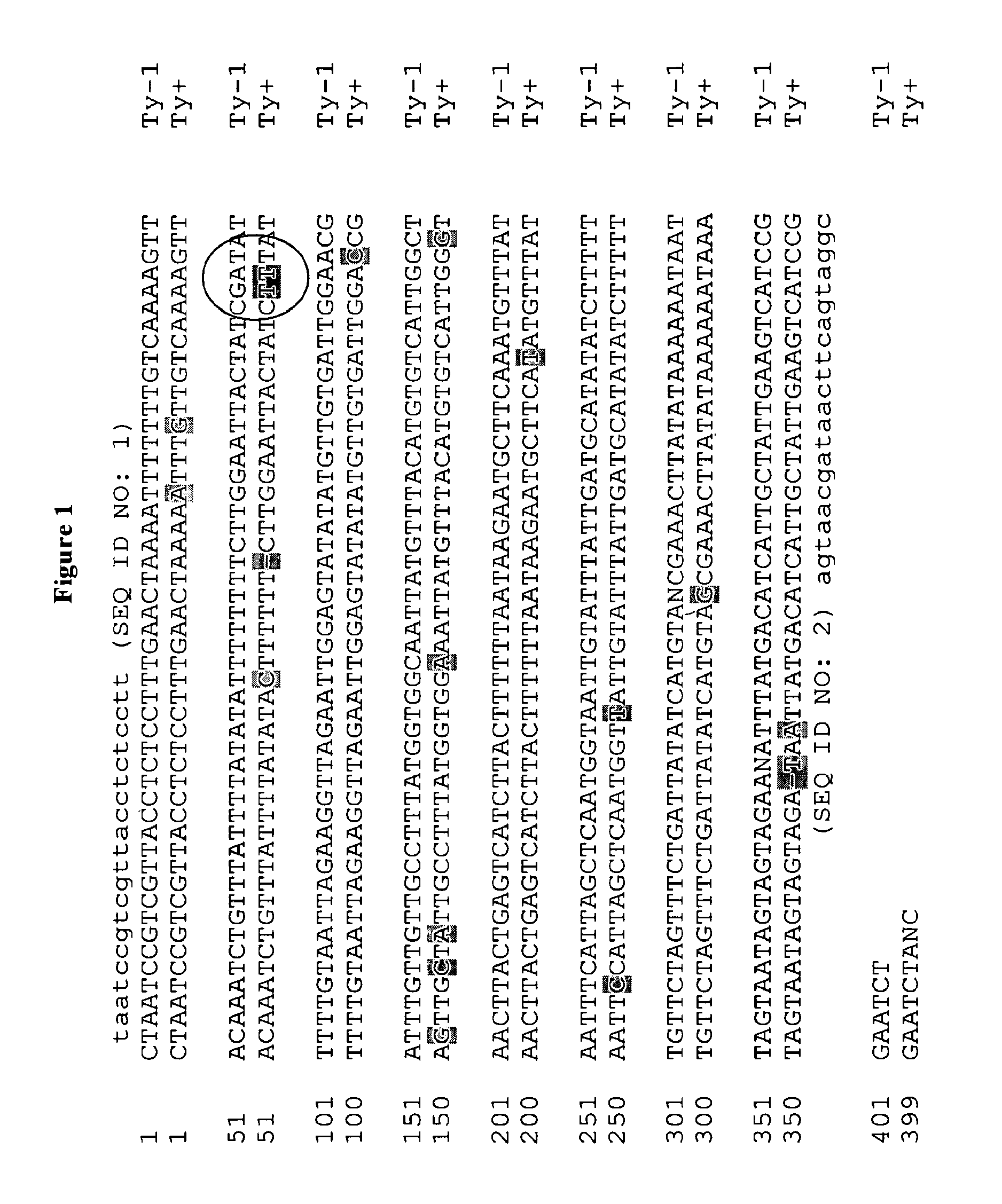 Methods for coupling resistance alleles in tomato