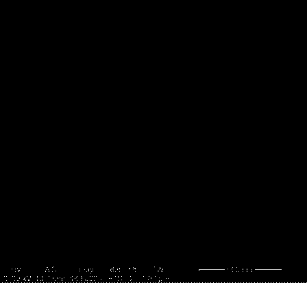 Preparation method of Co/Ni-MoO2 composite electrolyzed water catalyst