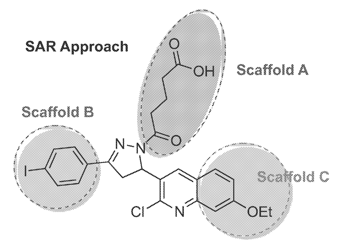 Materials and method for inhibiting replication protein a and uses thereof