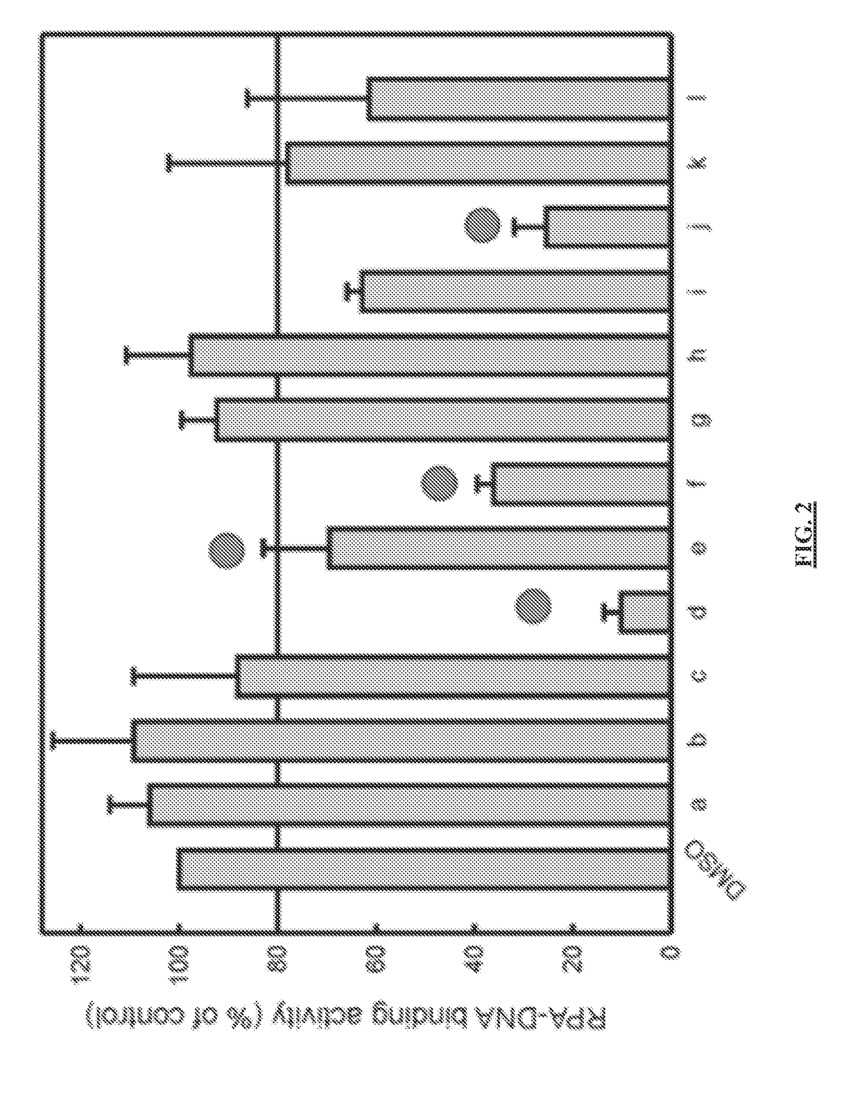 Materials and method for inhibiting replication protein a and uses thereof