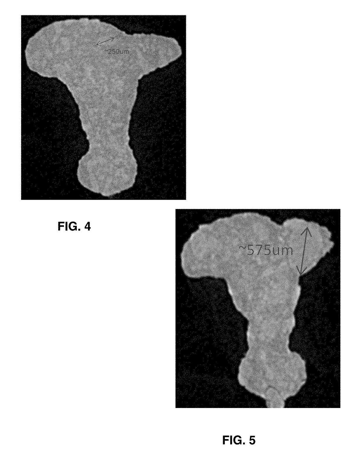 Skin engaging member comprising ethylene vinyl acetate