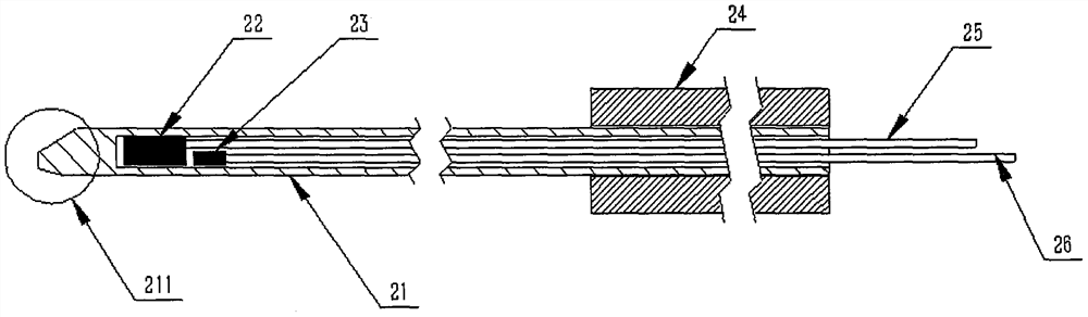 Solid tumor treatment system