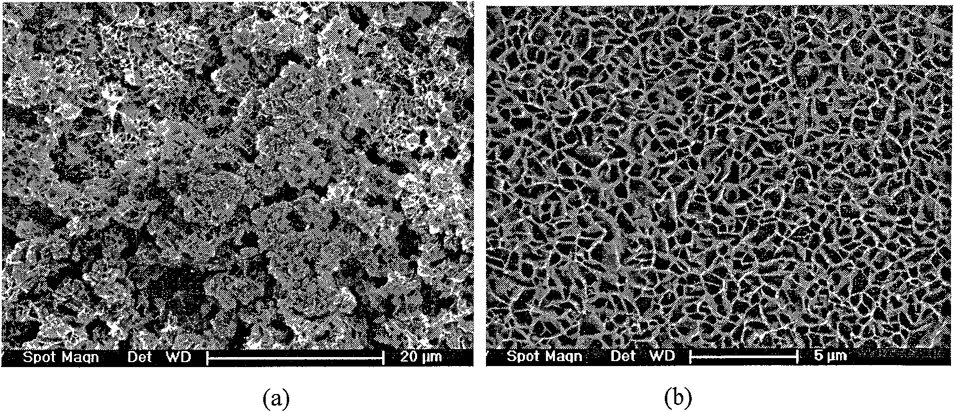 Method for preparing flower-like crystalline magnesium hydroxide film in microcosmic appearance