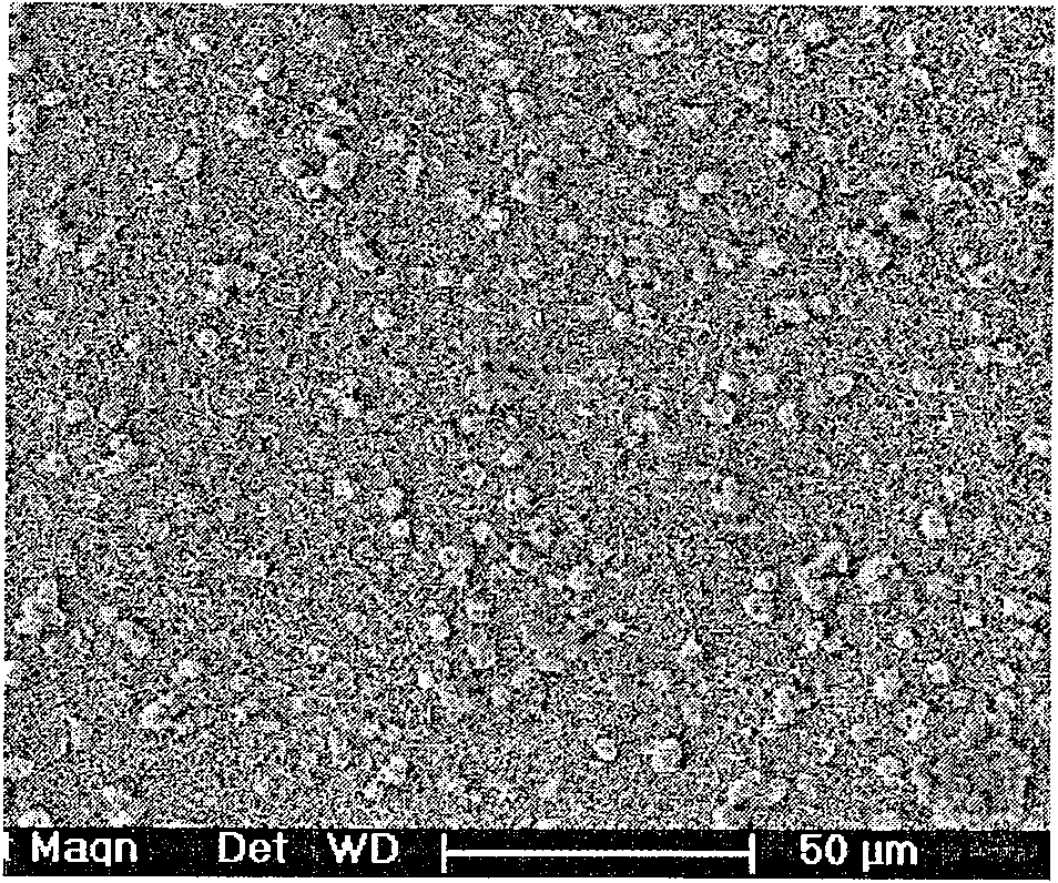 Method for preparing flower-like crystalline magnesium hydroxide film in microcosmic appearance