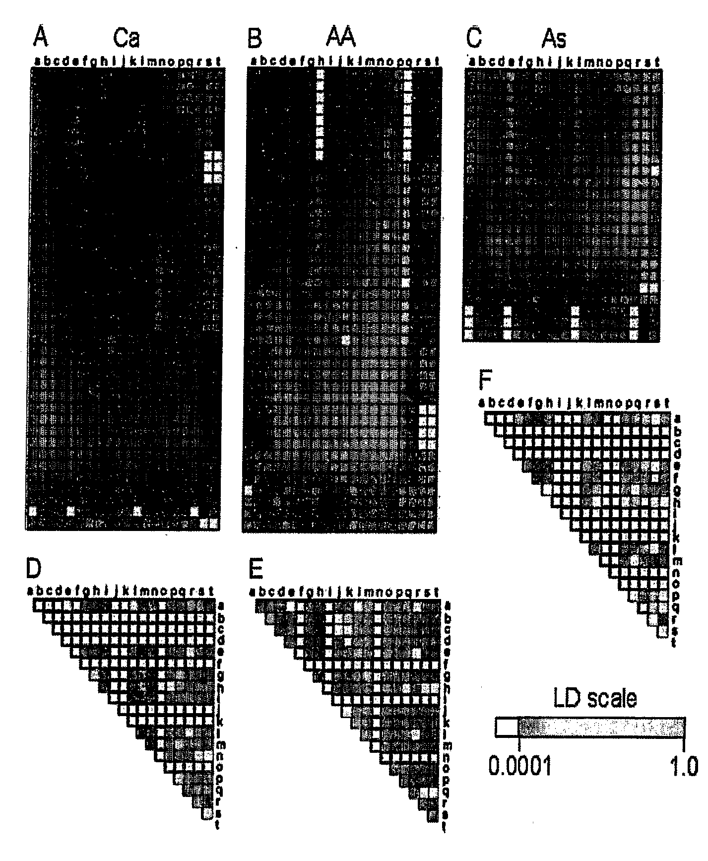 Polymorphisms and Haplotypes of the Alpha 2C Adrenergic Receptor Gene