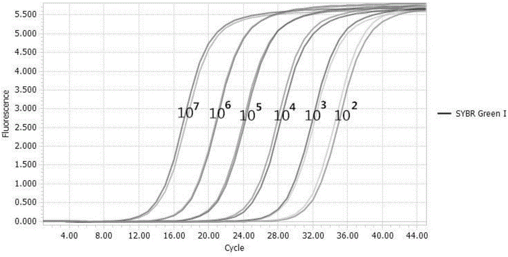 Precise quantification method of lentivirus packaging helper plasmids