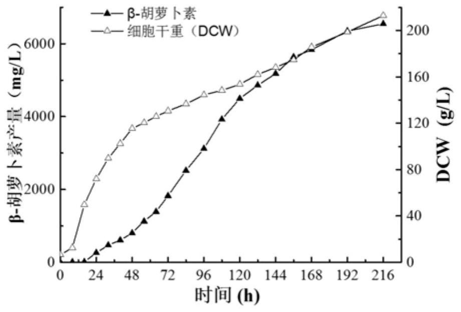 Construction method and application of strain for efficiently synthesizing beta-carotene