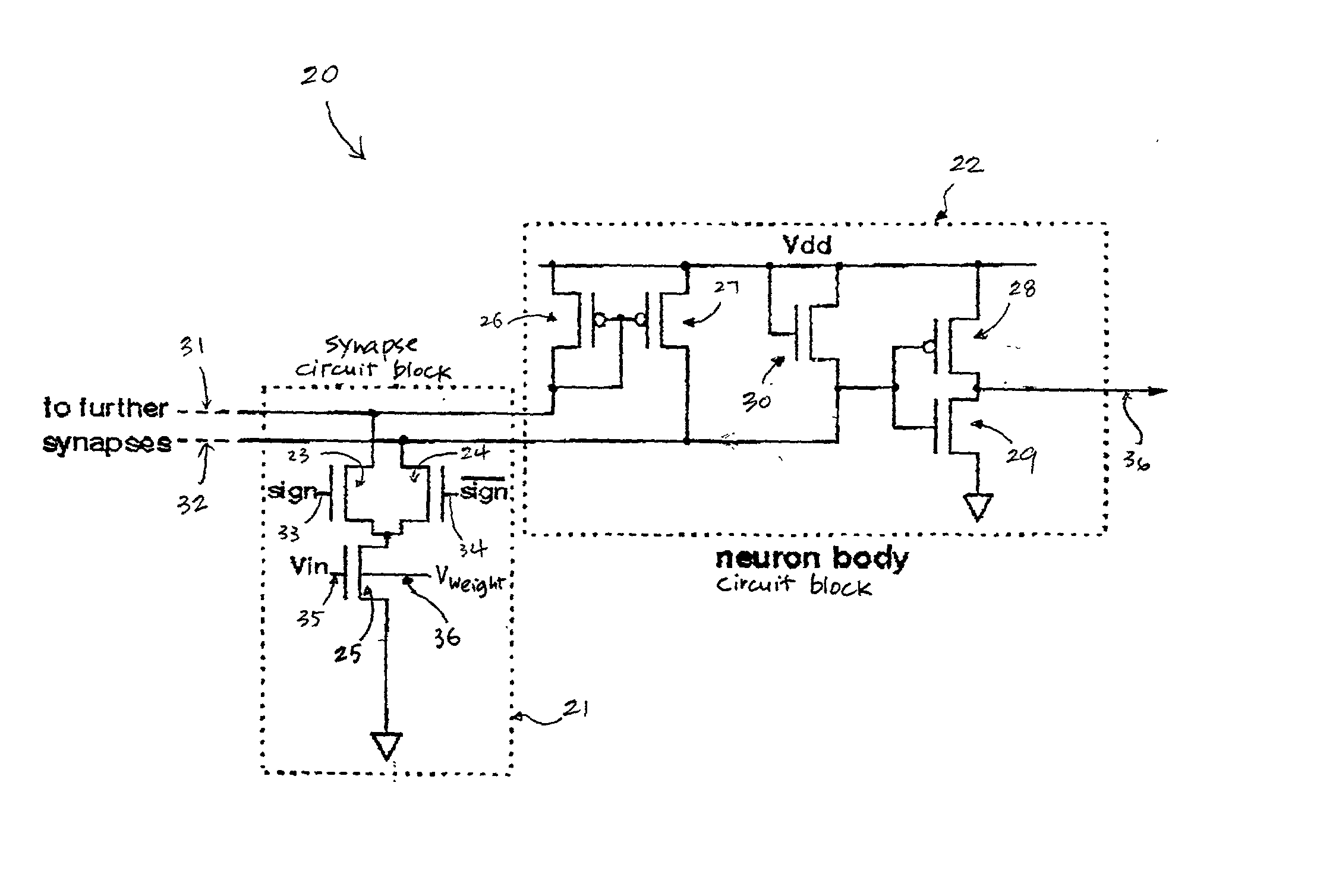 Neuron circuit